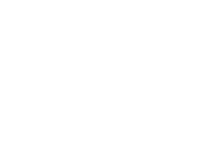 رؤية السعودية 2030